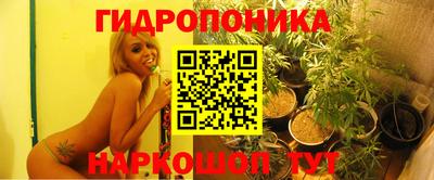 гидропоника Кулебаки