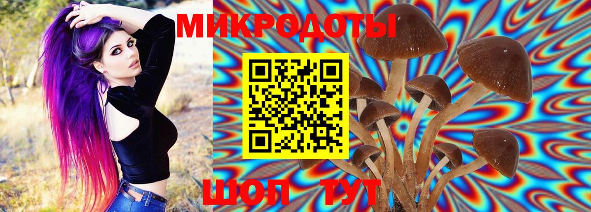 Псилоцибиновые грибы прущие грибы  Галлюциногенные грибы прущие грибы  Губкин  Вход с VPN 