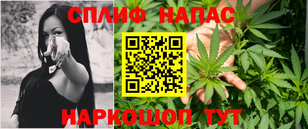 Шишки марихуана гибрид Губкин